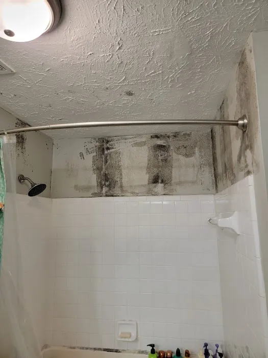 Peachtree Mitigation Picture 4