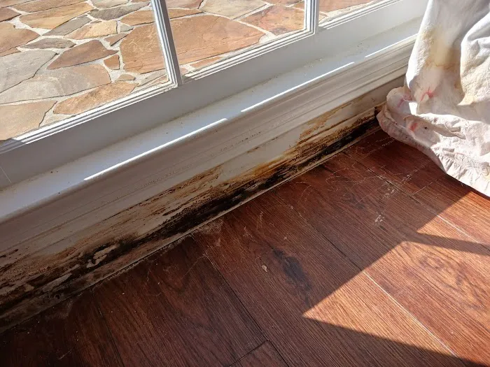 Peachtree Mitigation Picture 5