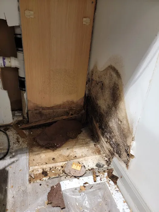 Peachtree Mitigation Picture 7