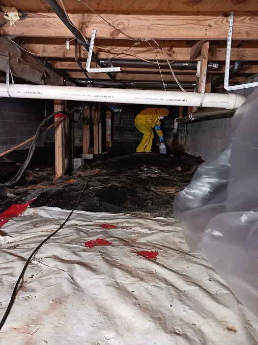 Peachtree Mitigation Picture 8