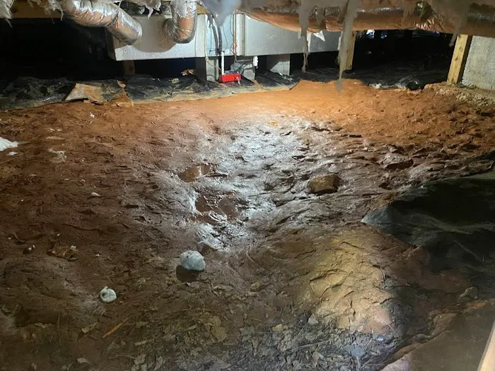 American Crawlspace Solutions Picture 9