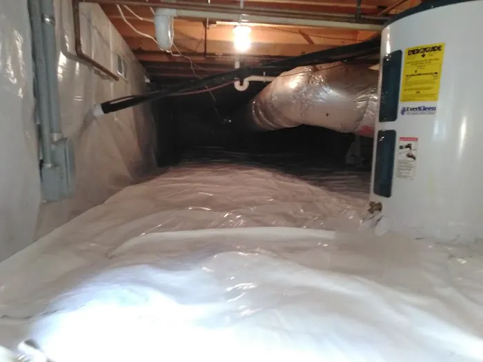 Prime Remediation and Mold Removal LLC Picture 1