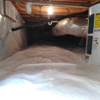 Prime Remediation and Mold Removal LLC ico