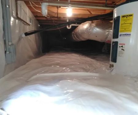 Prime Remediation and Mold Removal LLC