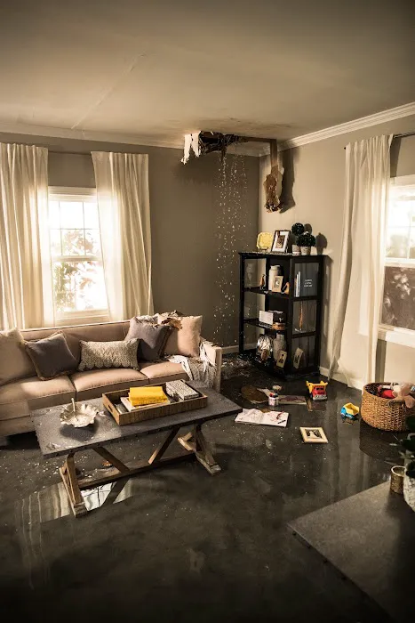 ServiceMaster by LoveJoy Picture 5