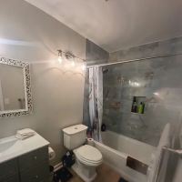 Flying Brothers Disaster Response ico