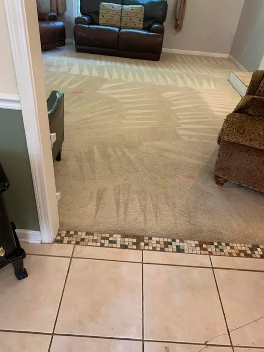 Covenant Carpet & Restoration- Water Damage & Mold Removal Picture 9