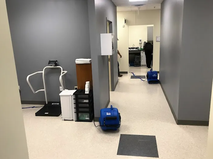 XSI Disaster Services Picture 6