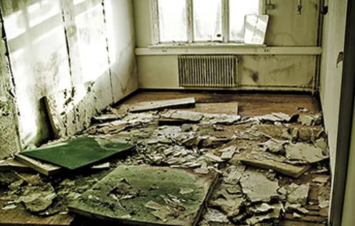 XSI Disaster Services Picture 7