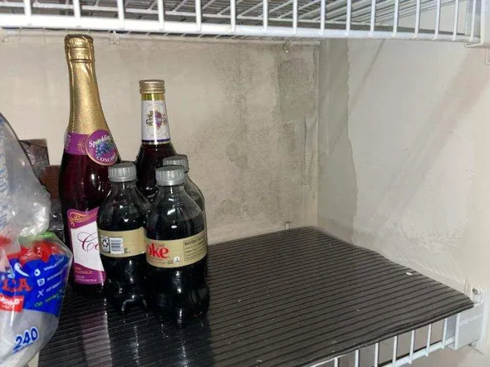 Peachtree Mitigation Picture 2