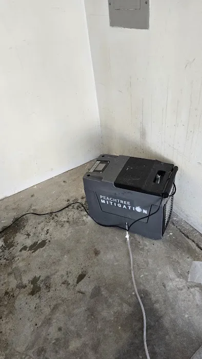 Peachtree Mitigation Picture 1