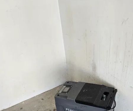 Peachtree Mitigation