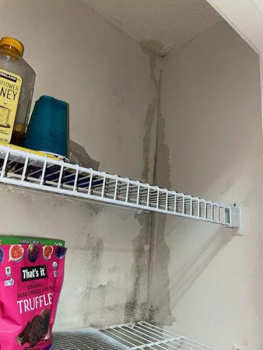 Peachtree Mitigation Picture 4