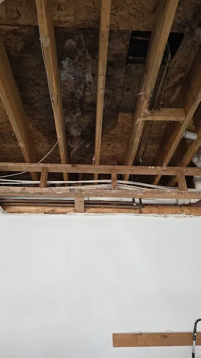 Peachtree Mitigation Picture 6