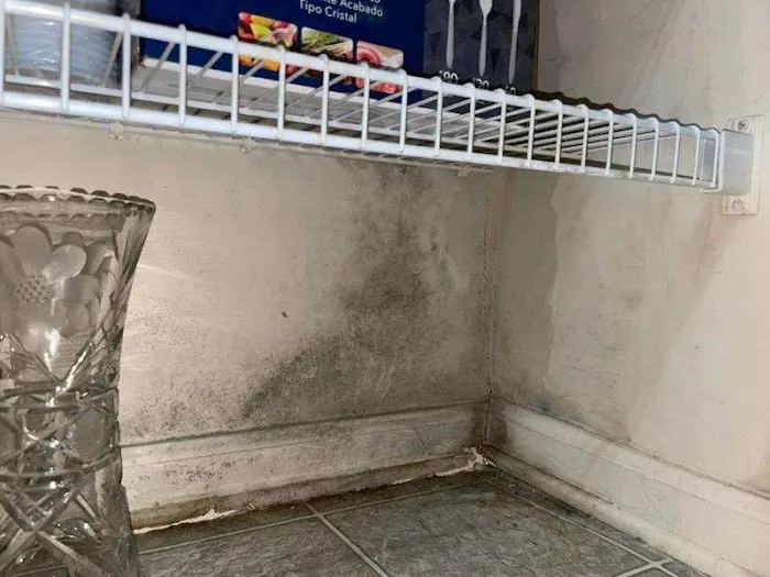 Peachtree Mitigation Picture 5