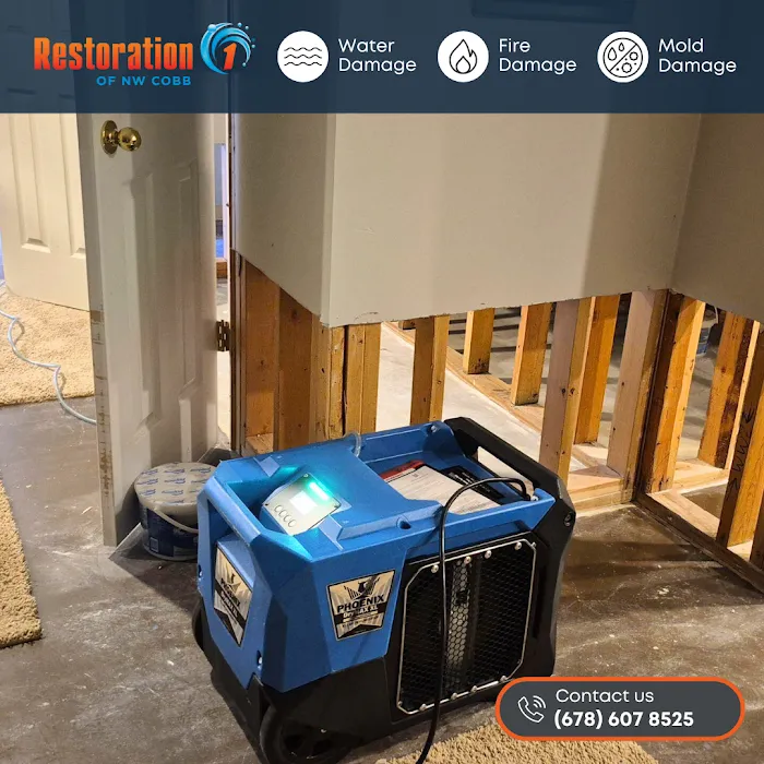 Restoration 1 of NW Cobb Picture 8