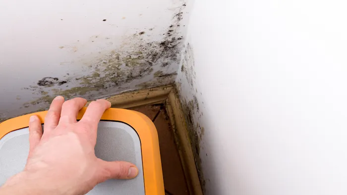 Restoration 1 of NW Cobb Picture 9