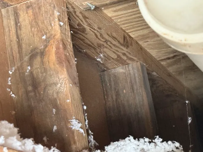 Voda Cleaning & Restoration of Atlanta-Marietta Picture 6