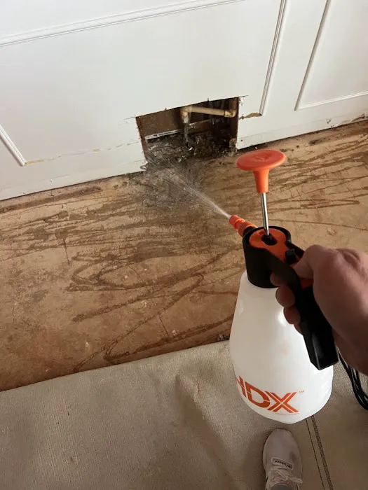 Reliable Water Mitigation Picture 1