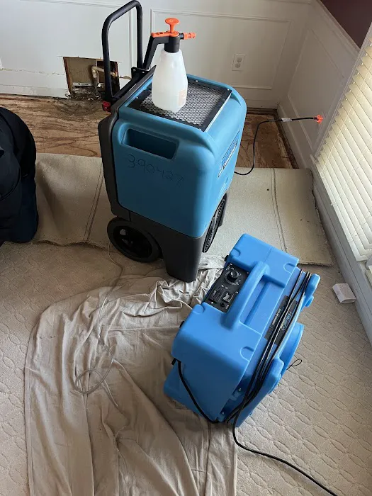 Reliable Water Mitigation Picture 2