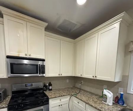 RestoPros of Northeast Georgia