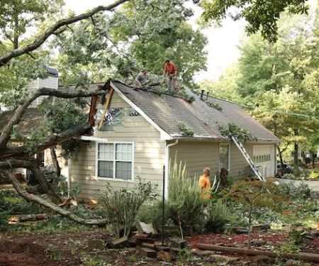 Southeast Restoration of East Metro Atlanta