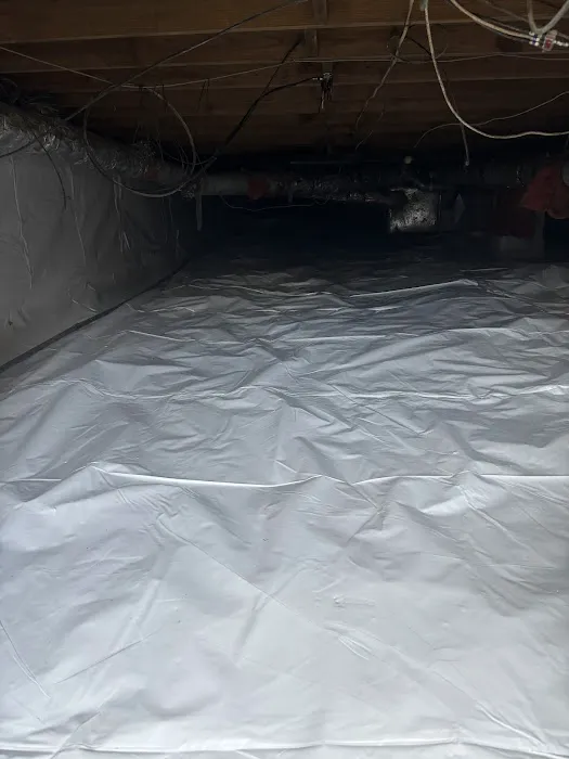 Peek Mold Control Picture 4