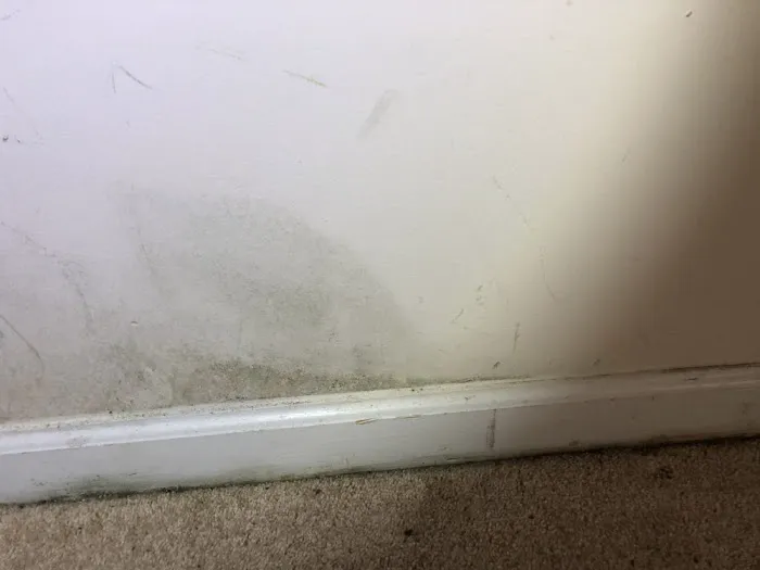 Peek Mold Control Picture 5