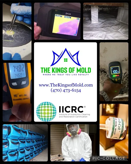 The Kings of Mold Picture 2