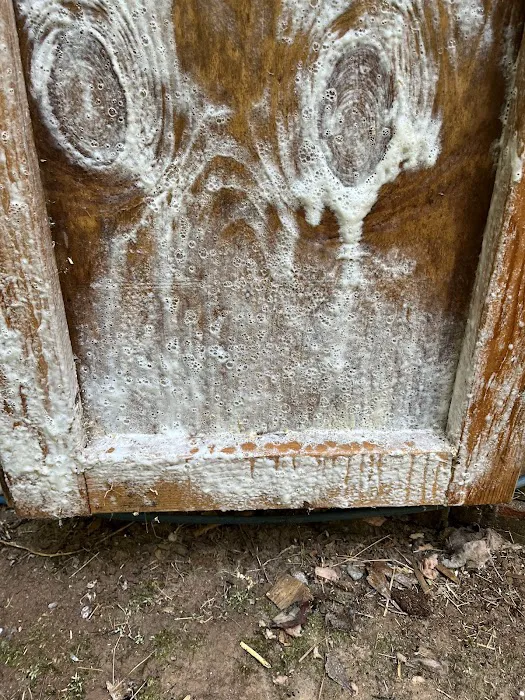 The Kings of Mold Picture 4