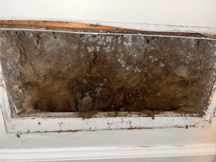 The Kings of Mold Picture 6