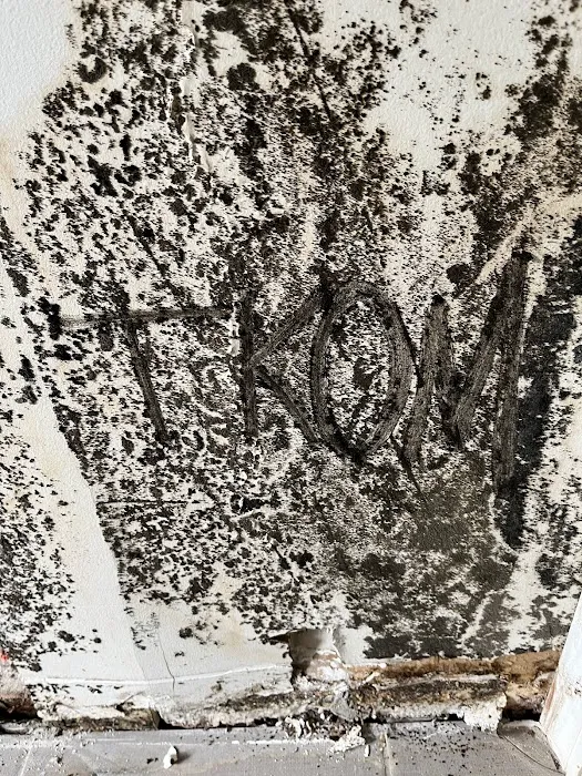 The Kings of Mold Picture 9