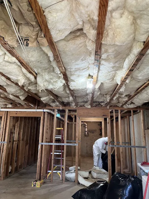 The Kings of Mold Picture 7