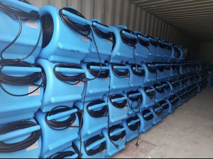 The Kings of Mold Picture 10