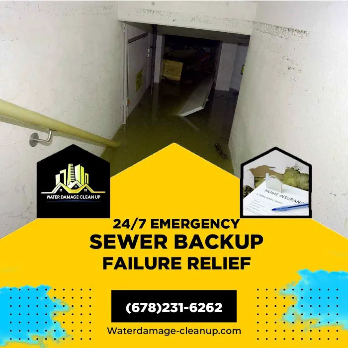 Water Clean up Picture 1