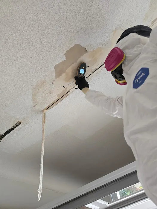 Water Clean up Picture 3