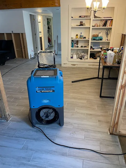 Mold Solutions Home Services LLC Picture 1