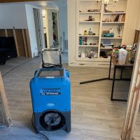 Mold Solutions Home Services LLC ico