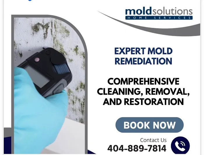 Mold Solutions Home Services LLC Picture 5