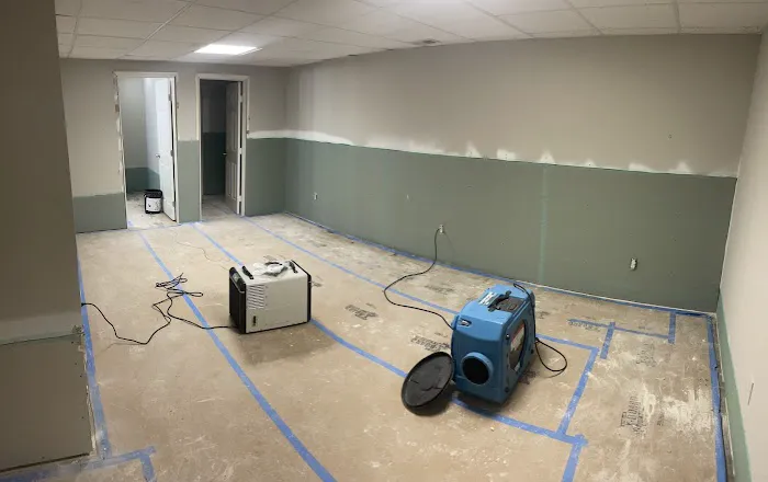 Mold Solutions Home Services LLC Picture 4