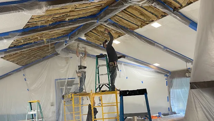 Mold Solutions Home Services LLC Picture 3