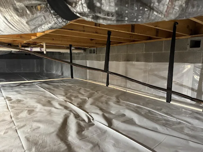 Mold Solutions Home Services LLC Picture 9