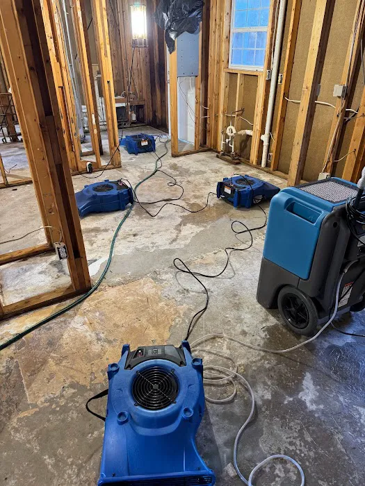 Mold Solutions Home Services LLC Picture 7