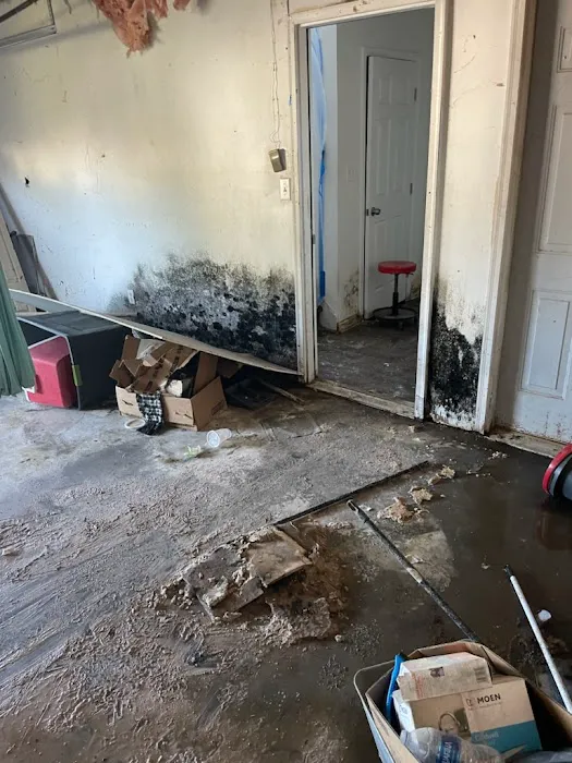 Mold Solutions Home Services LLC Picture 8