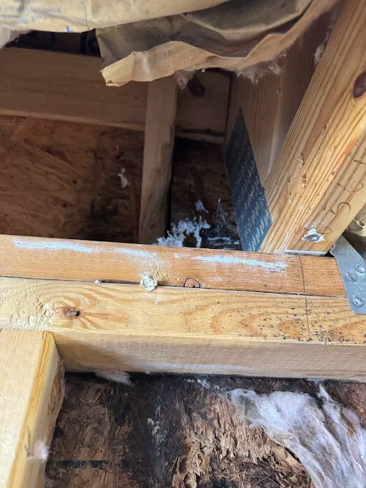 Mold Solutions Home Services LLC Picture 10