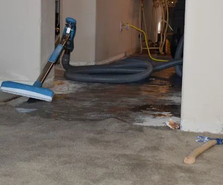 Blue Ninjas Water Damage Restoration Roswell