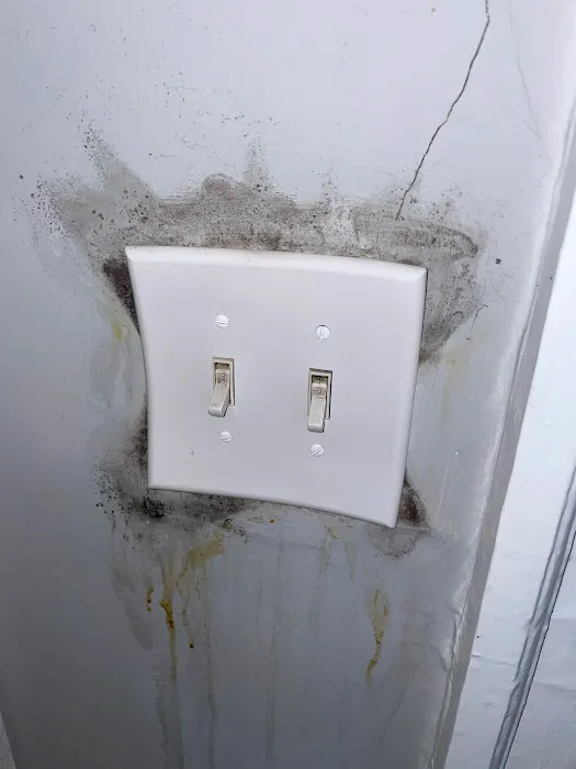 MoldStar Remediation Picture 4