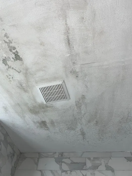 MoldStar Remediation Picture 7