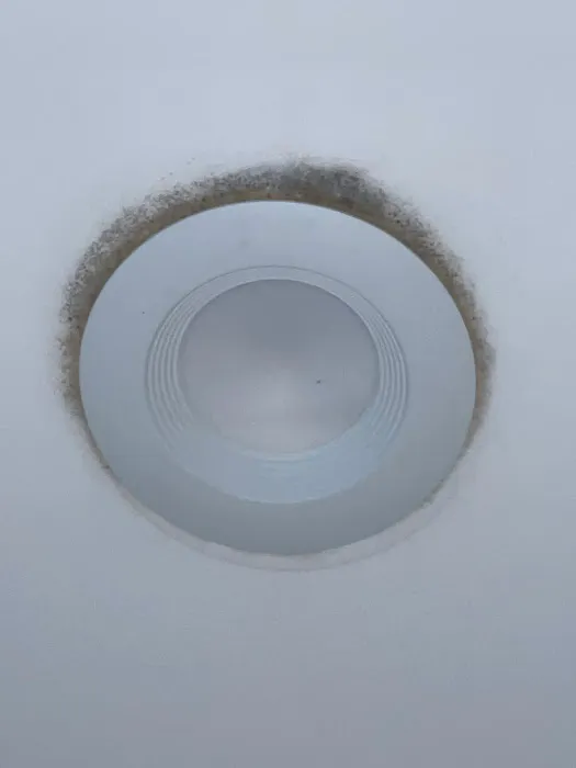 MoldStar Remediation Picture 6