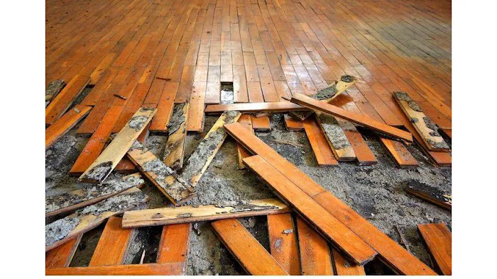 MoldStar Remediation Picture 5